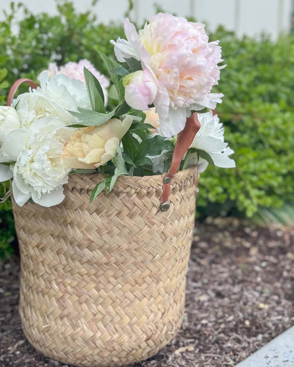Bundel peony